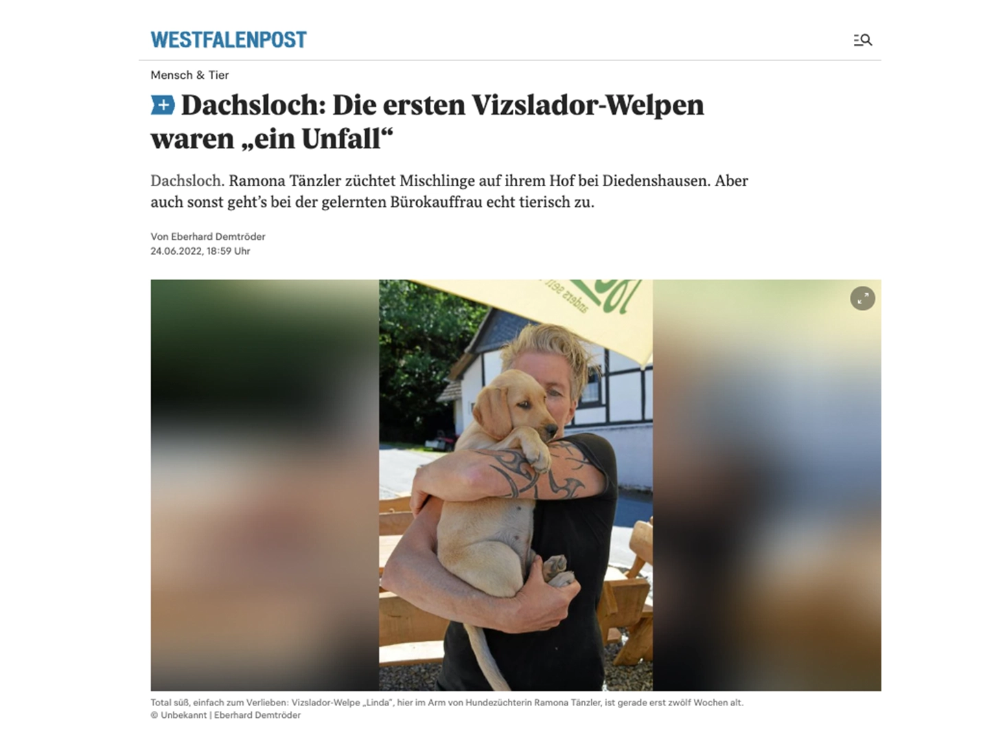 Presseartikel über Vizslador-Welpen im Dachsloch