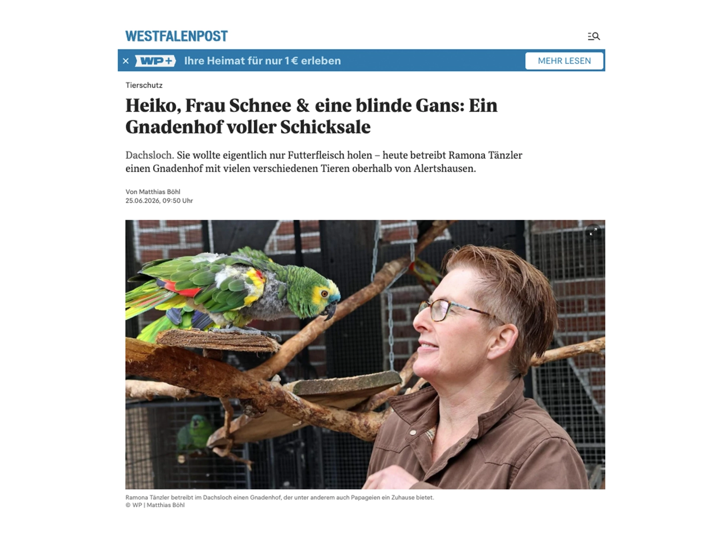 Presseartikel über den Gnadenhof Dachsloch