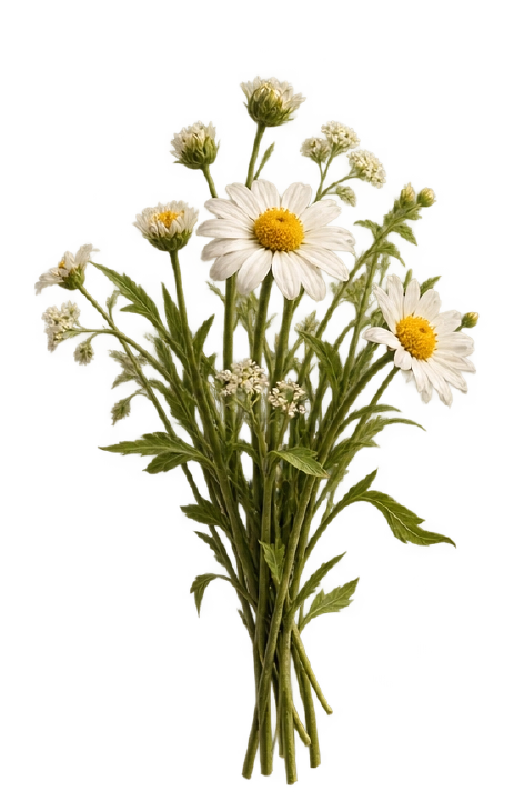 Strauß aus Wiesenblumen
